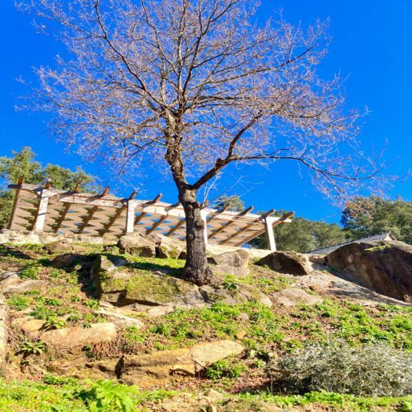 Paiva Valley Alvarenga Buitenkant foto